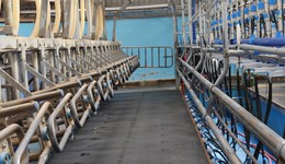 Consider business implications